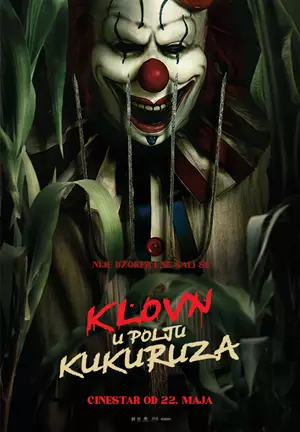 Klovn u polju kukuruza