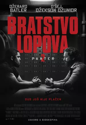 Bratstvo lopova 2: Panter